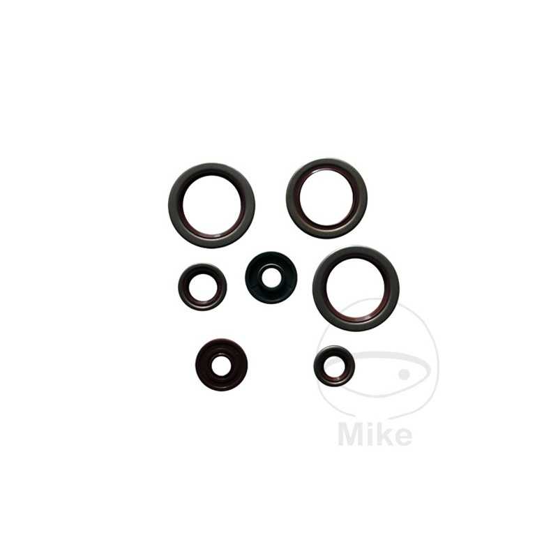 ATHENA seal kit 779.04.13