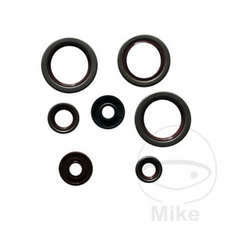 ATHENA seal kit 779.04.13