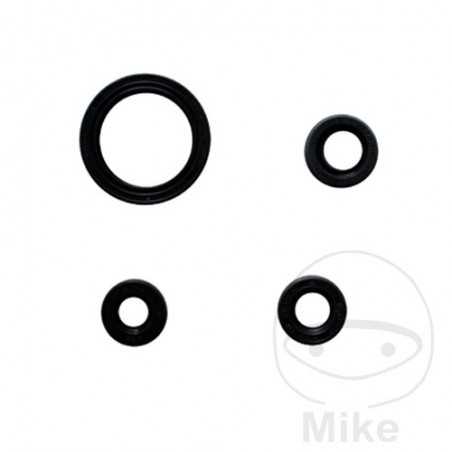 ATHENA Juego de retenes 779.04.62