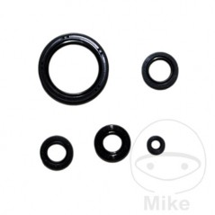 ATHENA seal kit 779.15.85