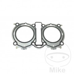 Head gasket (Rec. Original) OEM 734.49.21