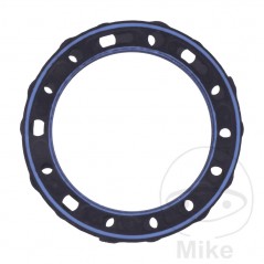 Head gasket (Rec. Original) OEM 734.79.91
