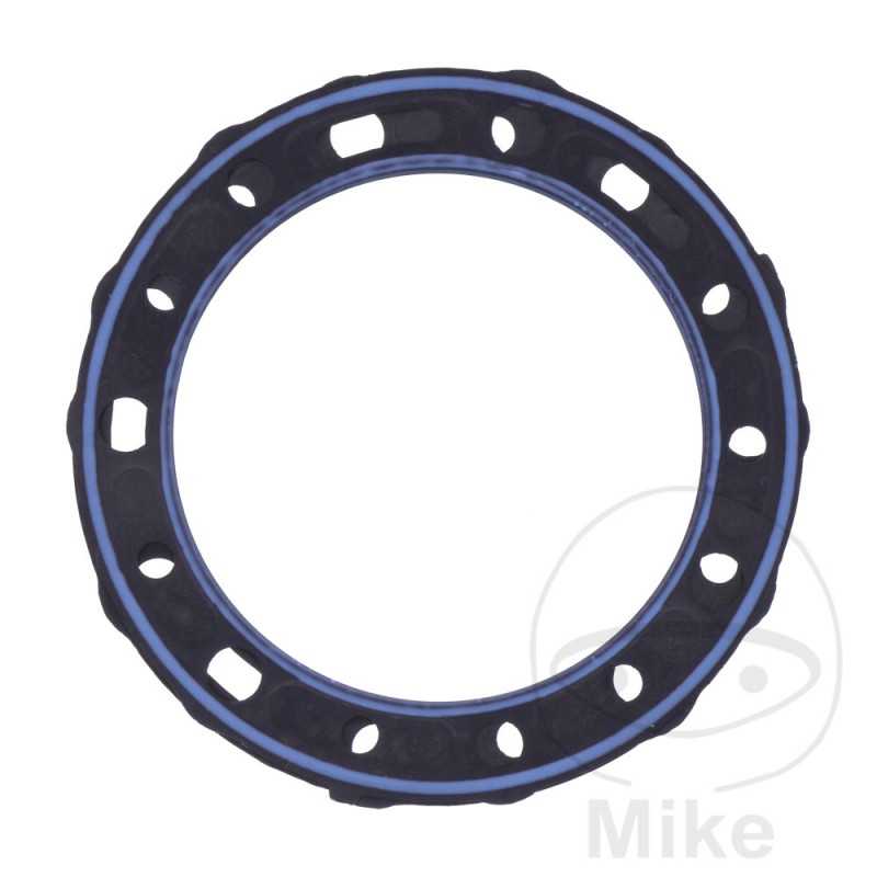 Head gasket (Rec. Original) OEM 734.79.91