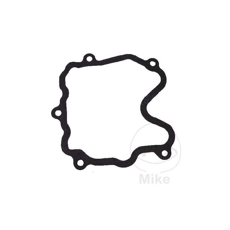 ATHENA Valve cover gasket 751.67.92