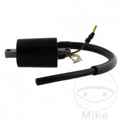 High Coil (Original Spare Part) OEM 700.13.91