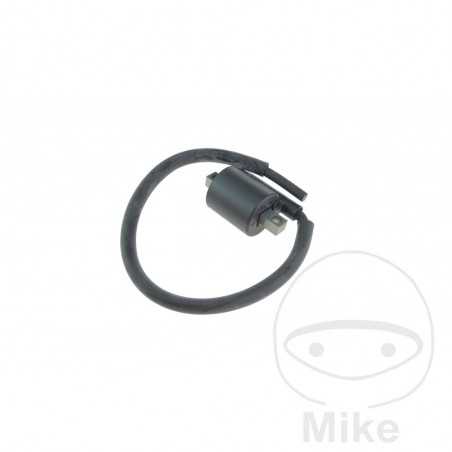 High Coil (Original Spare Part) OEM 700.15.81