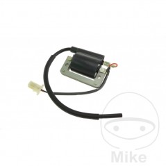 Bobina de alta (Recambio Original) OEM 700.15.87