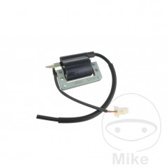 Bobina de alta (Recambio Original) OEM 700.15.87