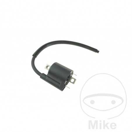 High Coil (Original Spare Part) OEM 700.16.18