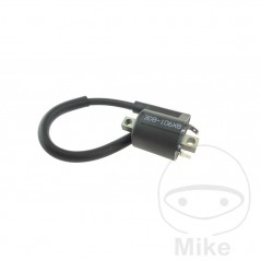 Bobina de alta (Recambio Original) OEM 700.16.22