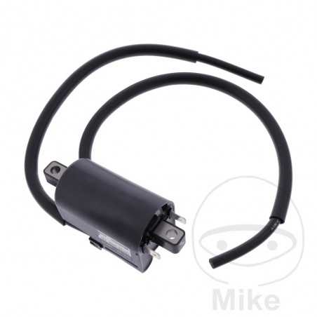 High Coil (Original Spare Part) OEM 700.24.00