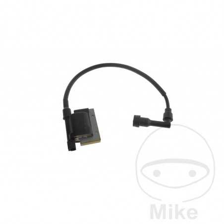 Bobina de alta (Recambio Original) OEM 700.24.90