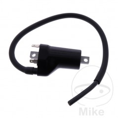 Bobina de alta (Recambio Original) OEM 700.25.10