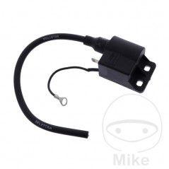 Bobina de alta (Recambio Original) OEM 700.25.11