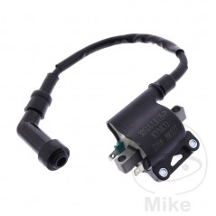 High Coil (Original Spare Part) OEM 700.27.95