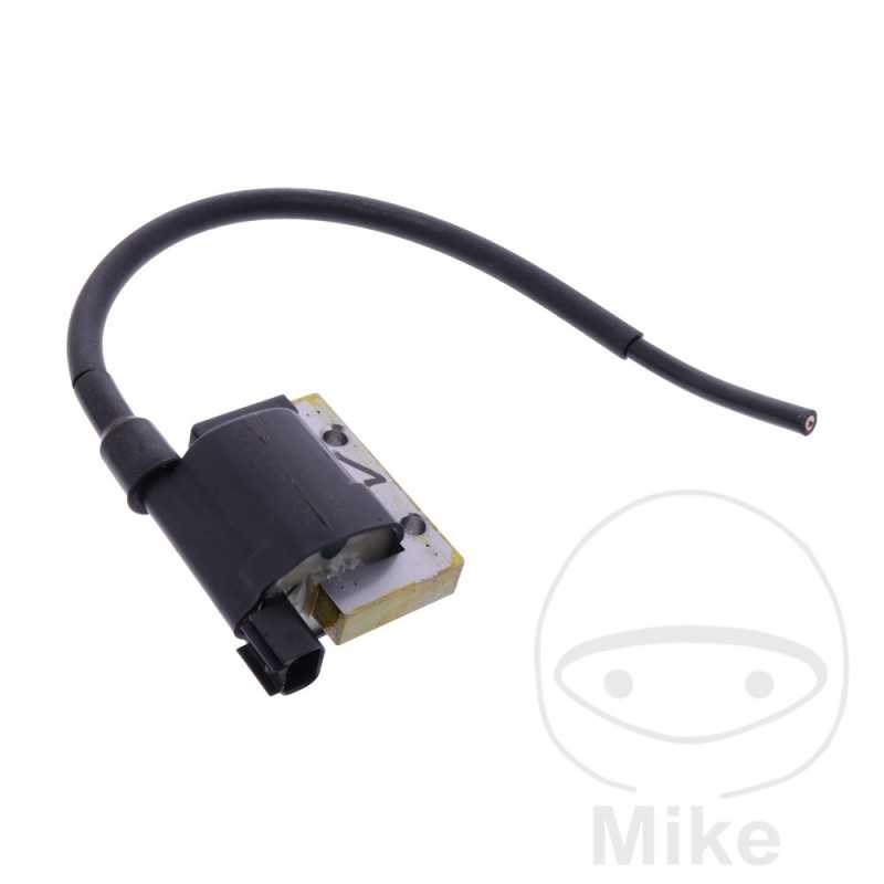 Bobina de alta (Recambio Original) OEM 700.30.47