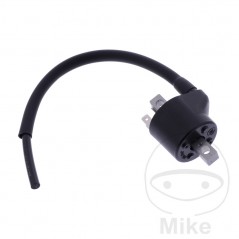 Bobina de alta (Recambio Original) OEM 700.30.53