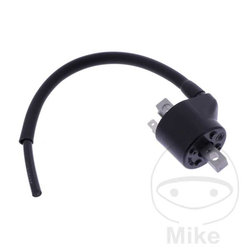 Bobina de alta (Recambio Original) OEM 700.30.53