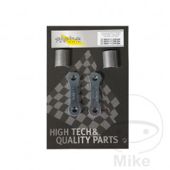 ALPHA TECHNIK Approved rear suspension height lowering kit 8500905