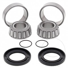 ALL BALLS swingarm repair kit 773.19.11
