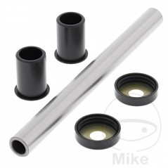 ALL BALLS swingarm repair kit 773.19.22