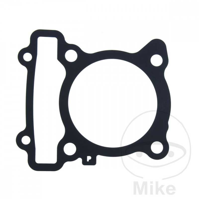 cylinder base gasket OEM 734.33.25