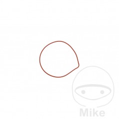Water pump cover gasket OEM 734.48.76