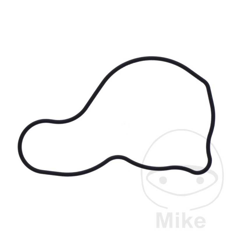Water pump cover gasket OEM 734.73.35