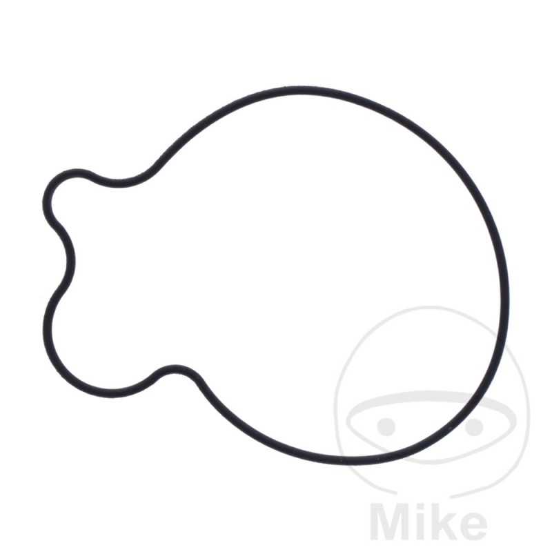 Water pump cover gasket OEM 734.73.38