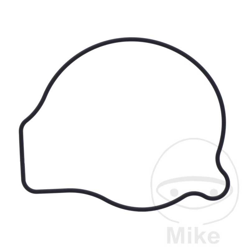 Water pump cover gasket OEM 734.73.43