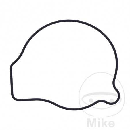 Water pump cover gasket OEM 734.73.43