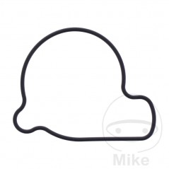 Water pump cover gasket OEM 734.73.46