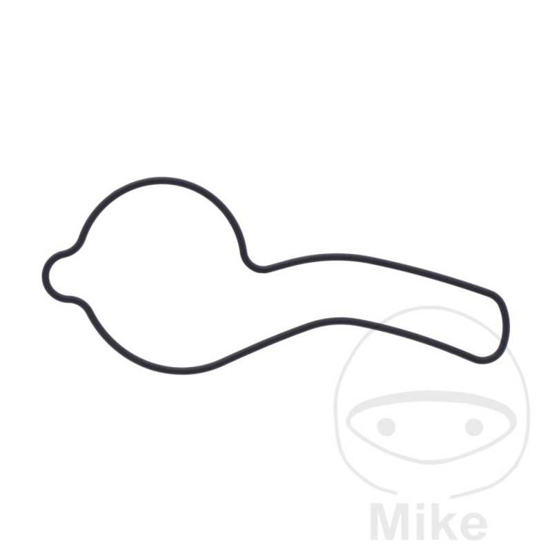 Water pump cover gasket OEM 734.73.48