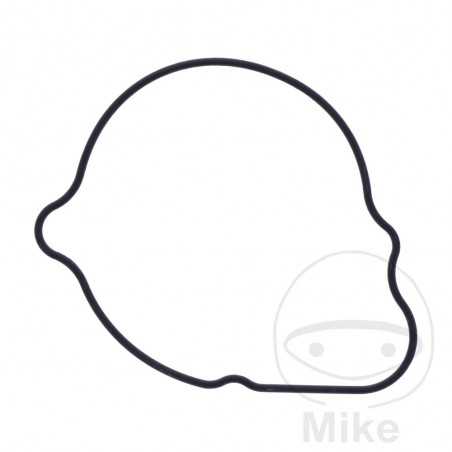 Water pump cover gasket OEM 734.73.51