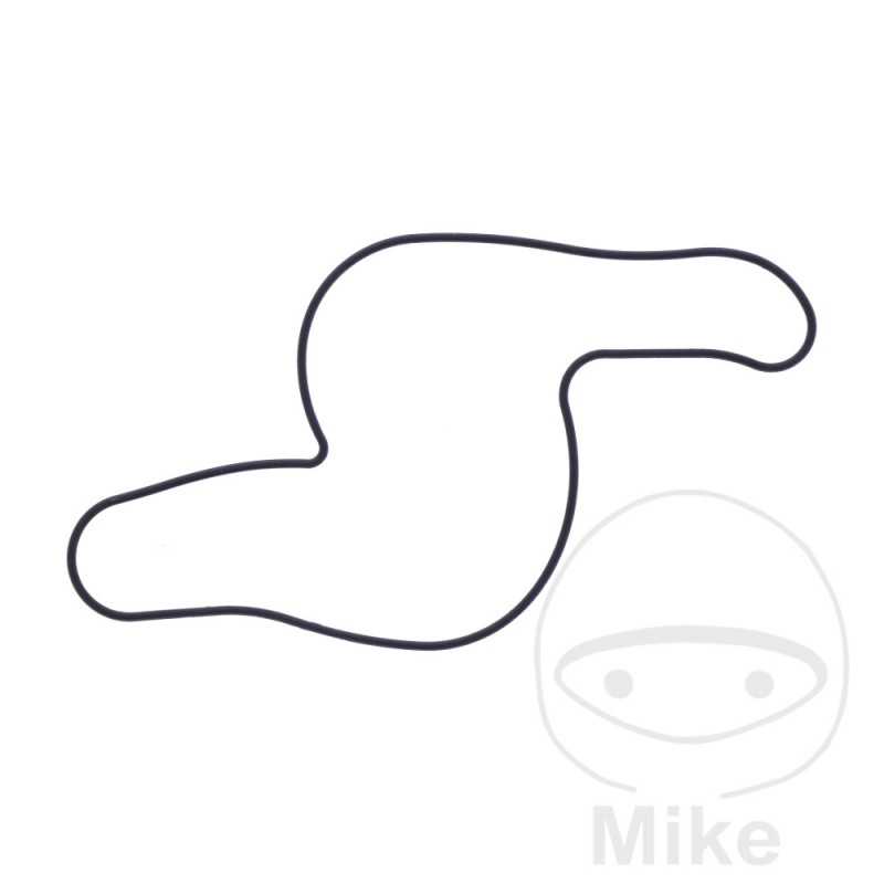 Water pump cover gasket OEM 734.73.66