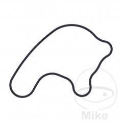 Water pump cover gasket OEM 734.73.76