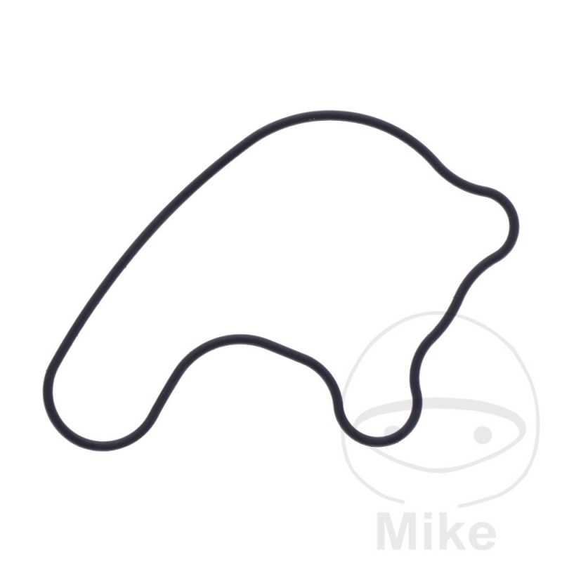 Water pump cover gasket OEM 734.73.76