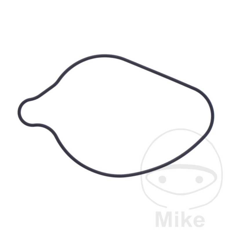 Water pump cover gasket OEM 734.73.77