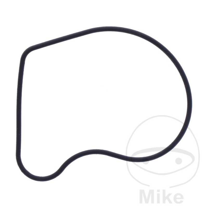 Water pump cover gasket OEM 734.73.78