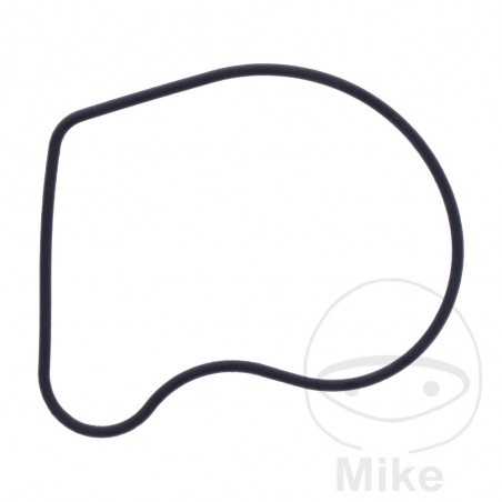 Water pump cover gasket OEM 734.73.78