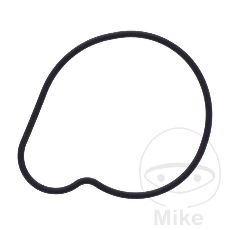 Water pump cover gasket OEM 734.73.87