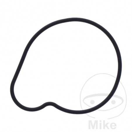 Water pump cover gasket OEM 734.73.87
