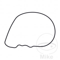 Water pump cover gasket OEM 734.73.98