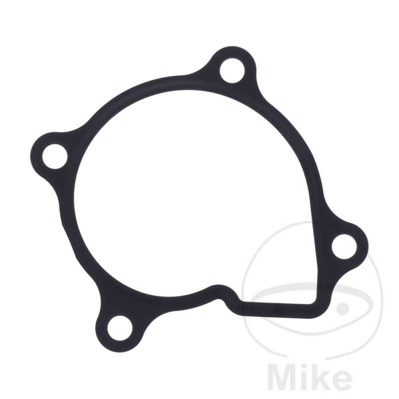 Water pump cover gasket OEM 734.73.99