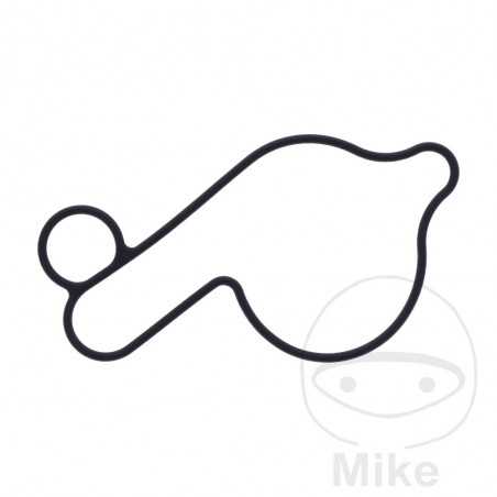 Water pump cover gasket OEM 734.74.21