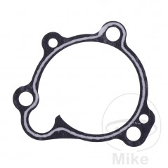 Water pump cover gasket OEM 734.74.27