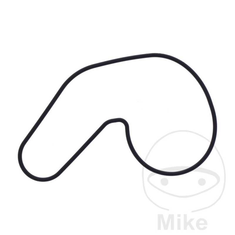 Water pump cover gasket OEM 734.74.39