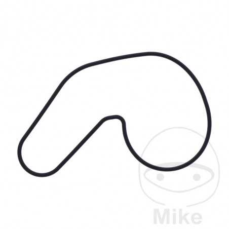 Water pump cover gasket OEM 734.74.39