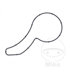 Water pump cover gasket OEM 734.74.40