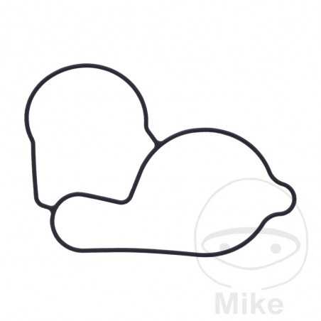 Junta tapa bomba de agua OEM 734.74.41